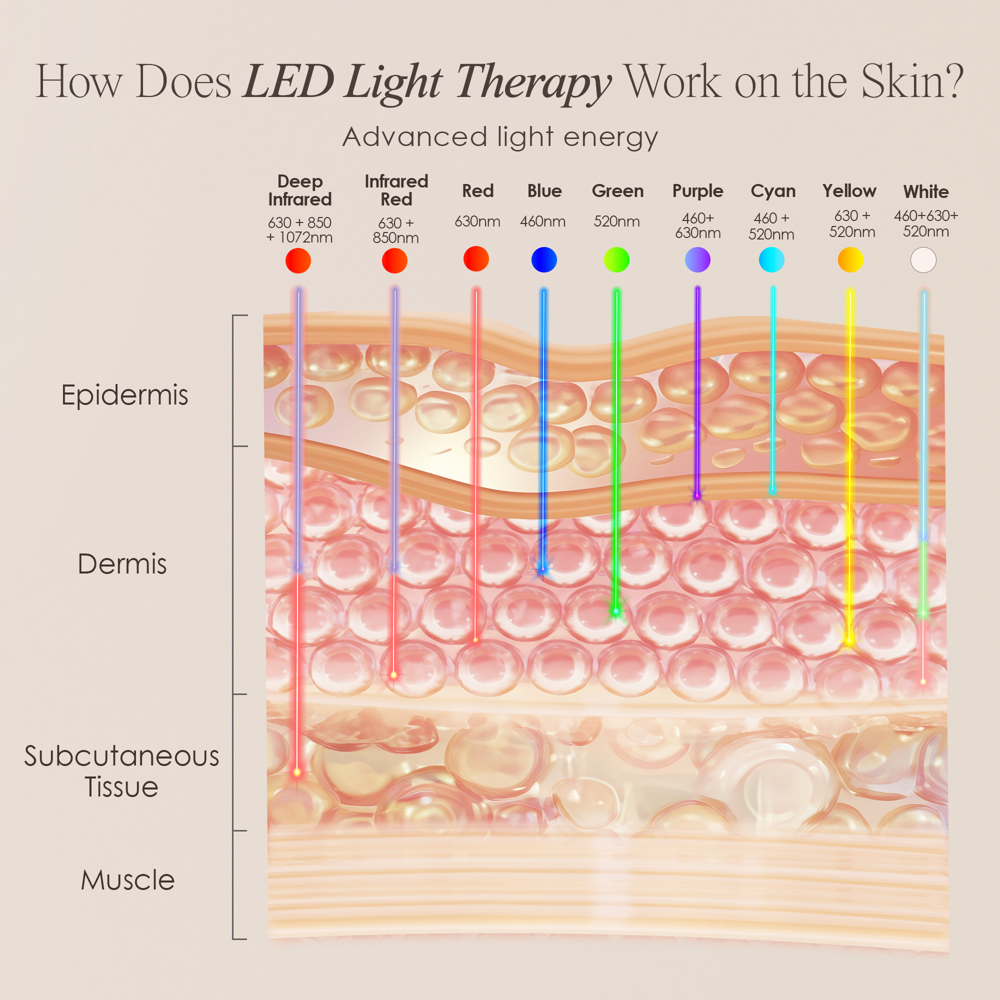 How does LED Light therapy work on the skin